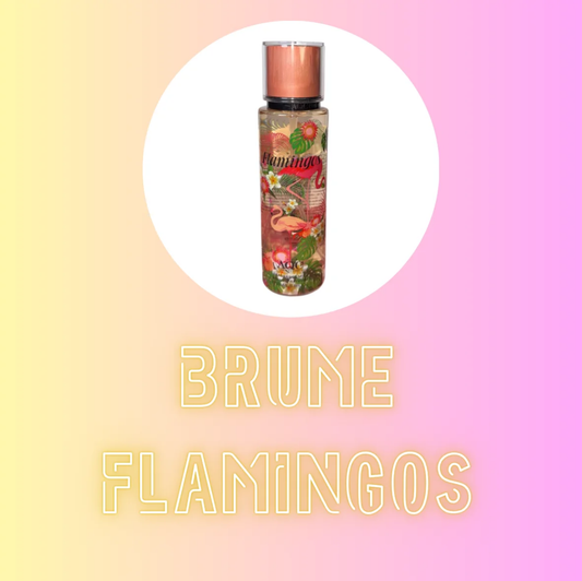 Brume Flamingos